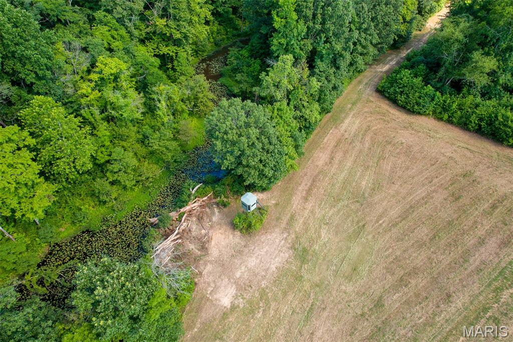 Photo of 0 County Road 532 Tract 2 Williamsville MO 63967