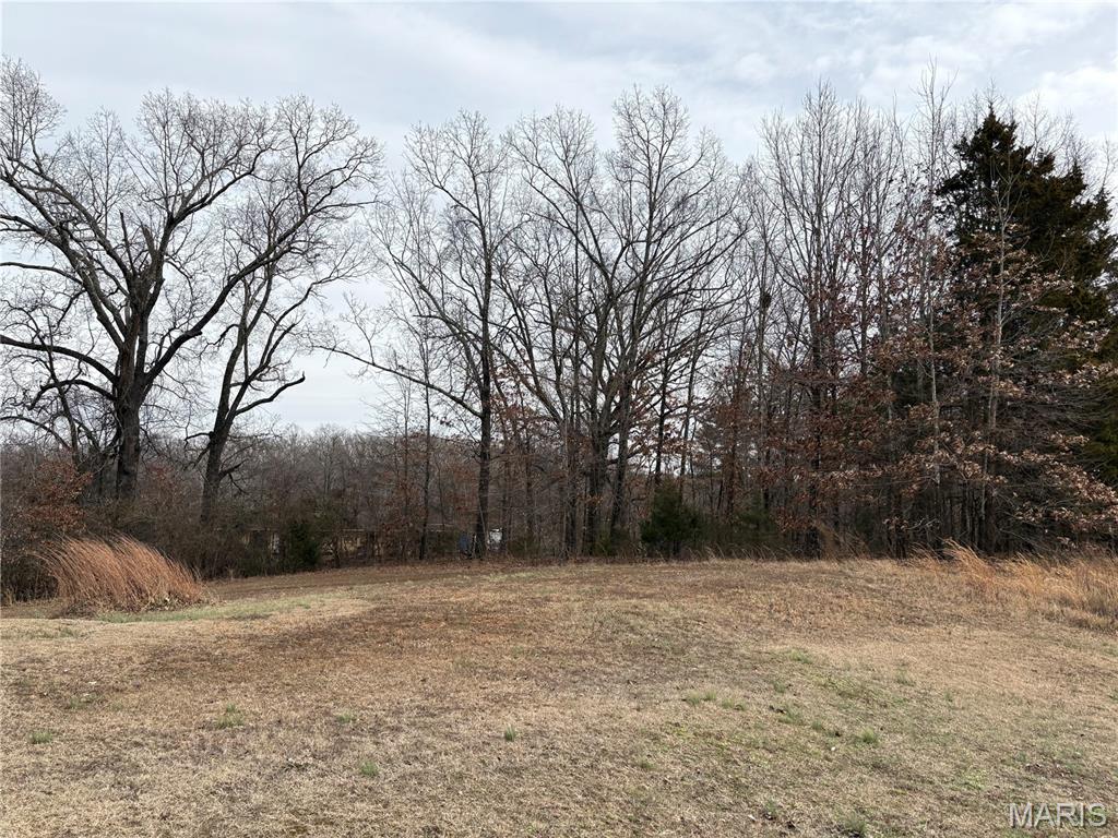 Photo of 16 Brownwood Court Poplar Bluff MO 63901