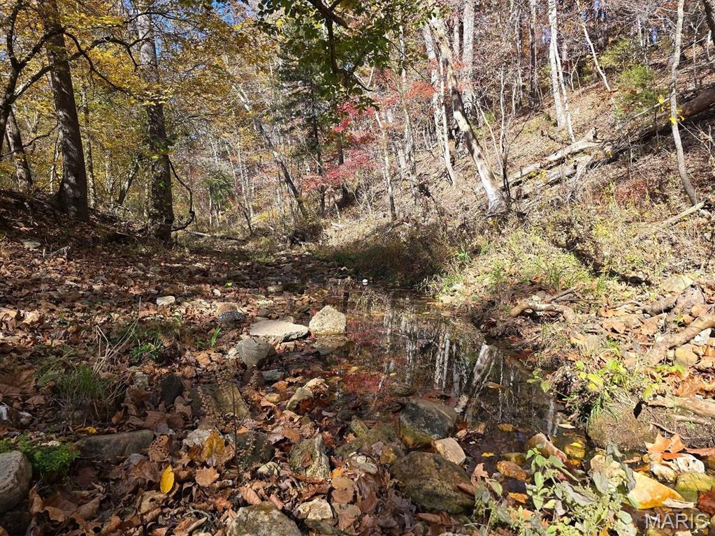 Photo of 000 Mineral Drive Lot 2 Houston MO 65483