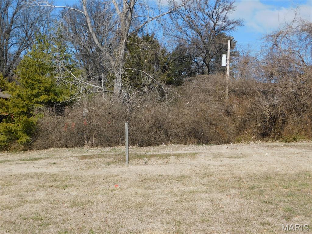 Photo of 3153 Somerset Green Court St Louis MO 63136