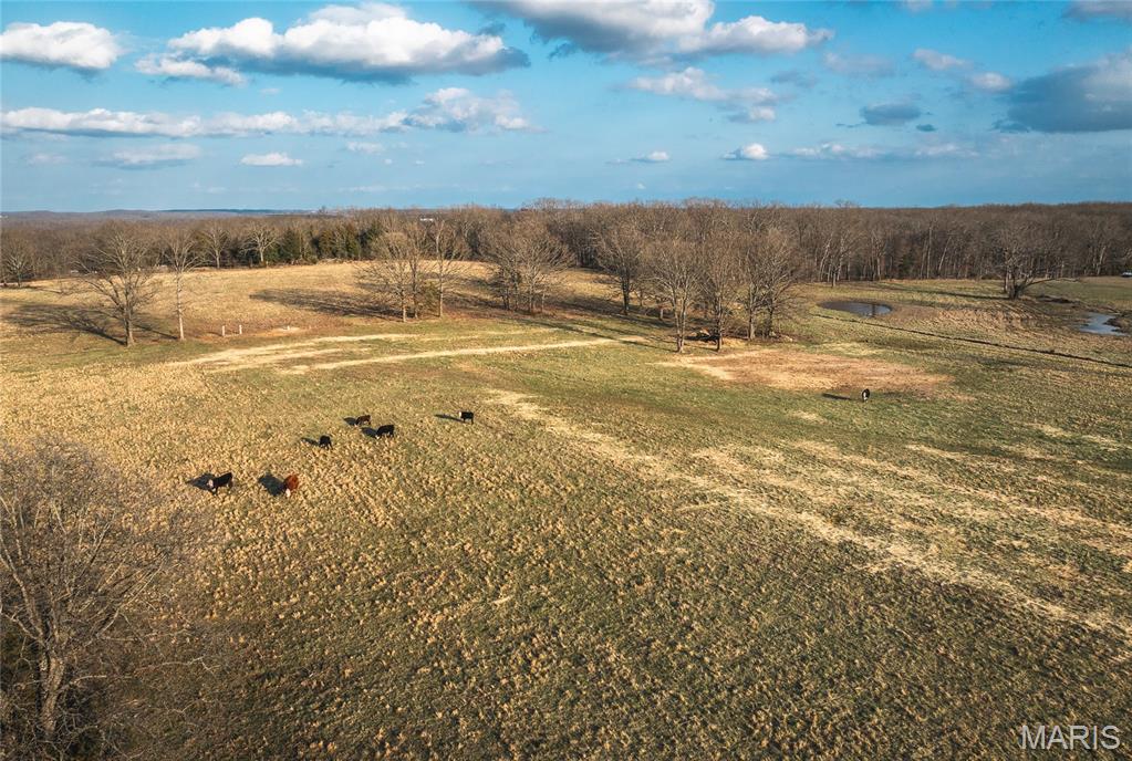Photo of 72 +/- acres County Road 8490 Newburg MO 65550