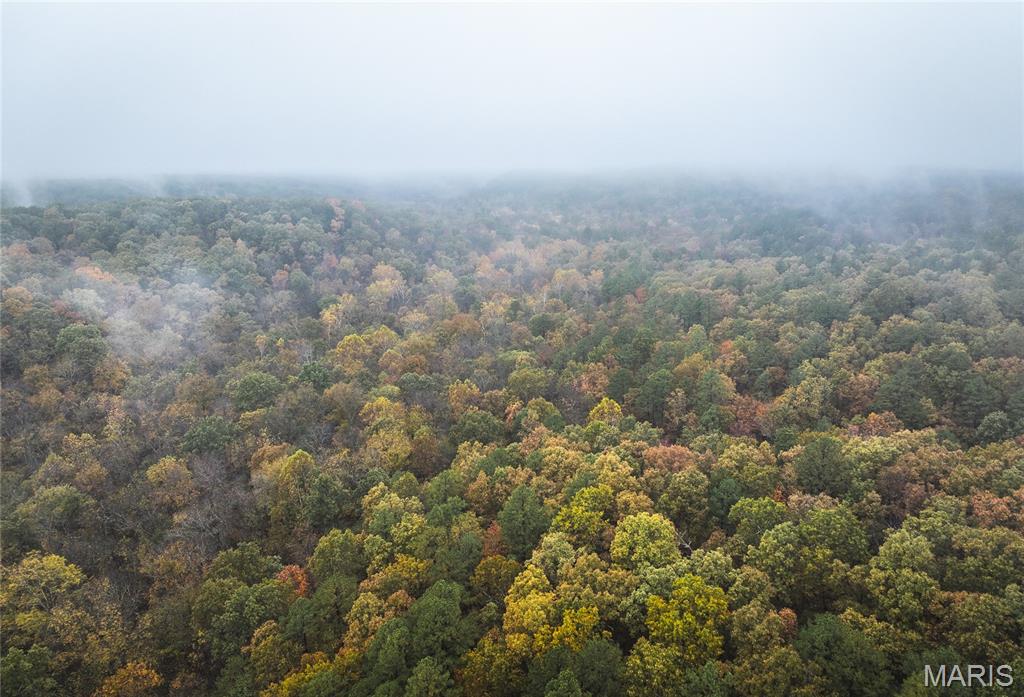 Photo of 0 Lodge Tract 3A Road Bourbon MO 65441