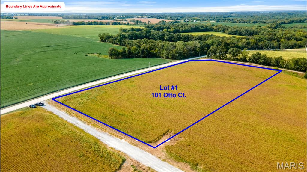 Photo of 101 Otto Court Silex MO 63377