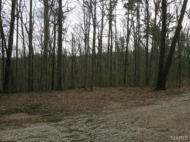 Photo of 0000 Hazel Nut Lane Potosi MO 63664