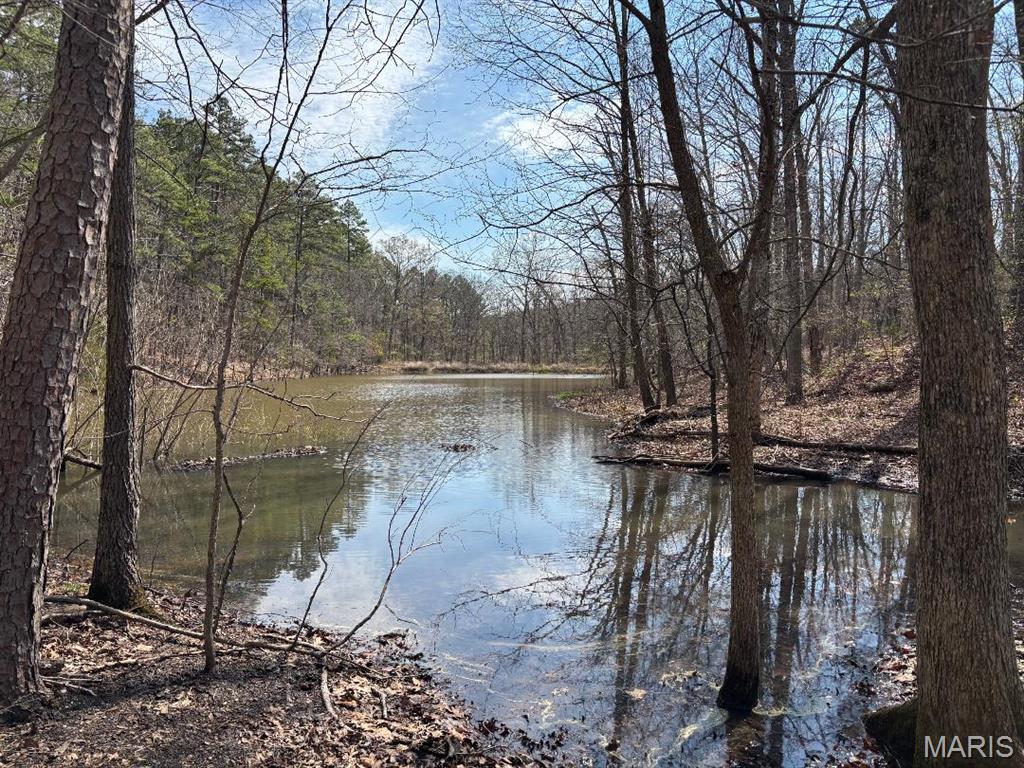 Photo of 000 Hazel Nut Lane Potosi MO 63664
