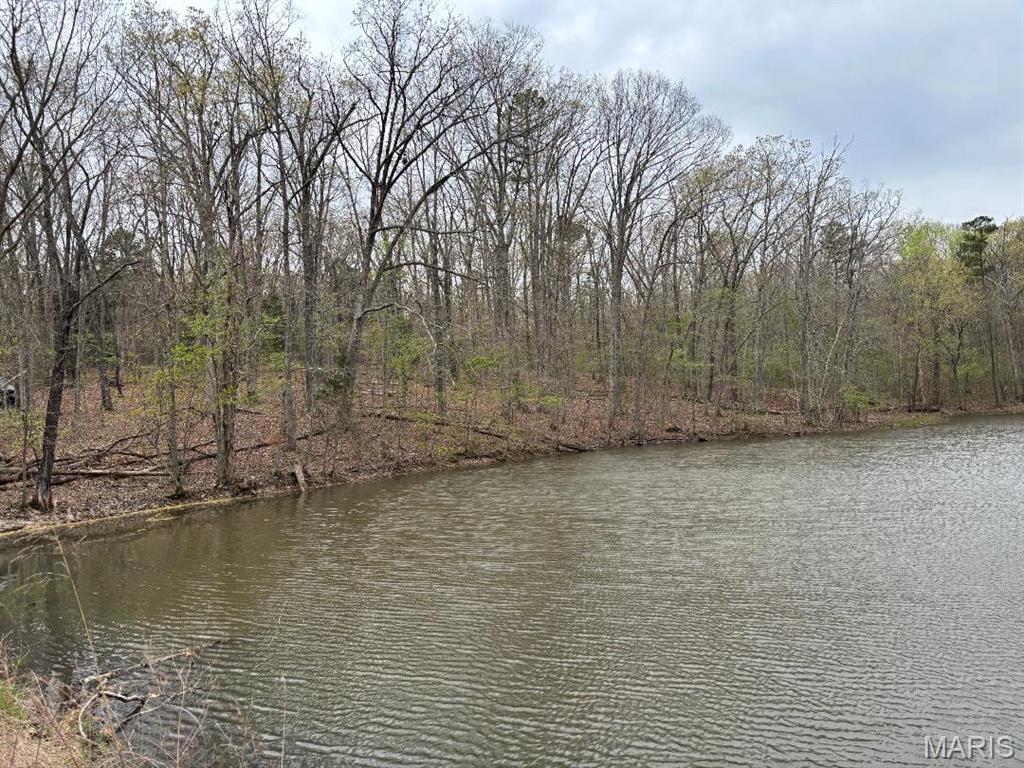 Photo of 000 Hazel Nut Lane Potosi MO 63664