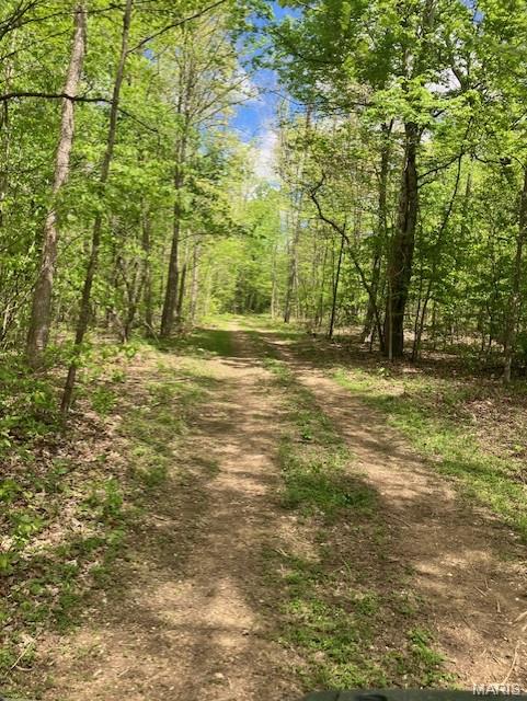Photo of 226 Madison CR 410 Fredericktown MO 63645
