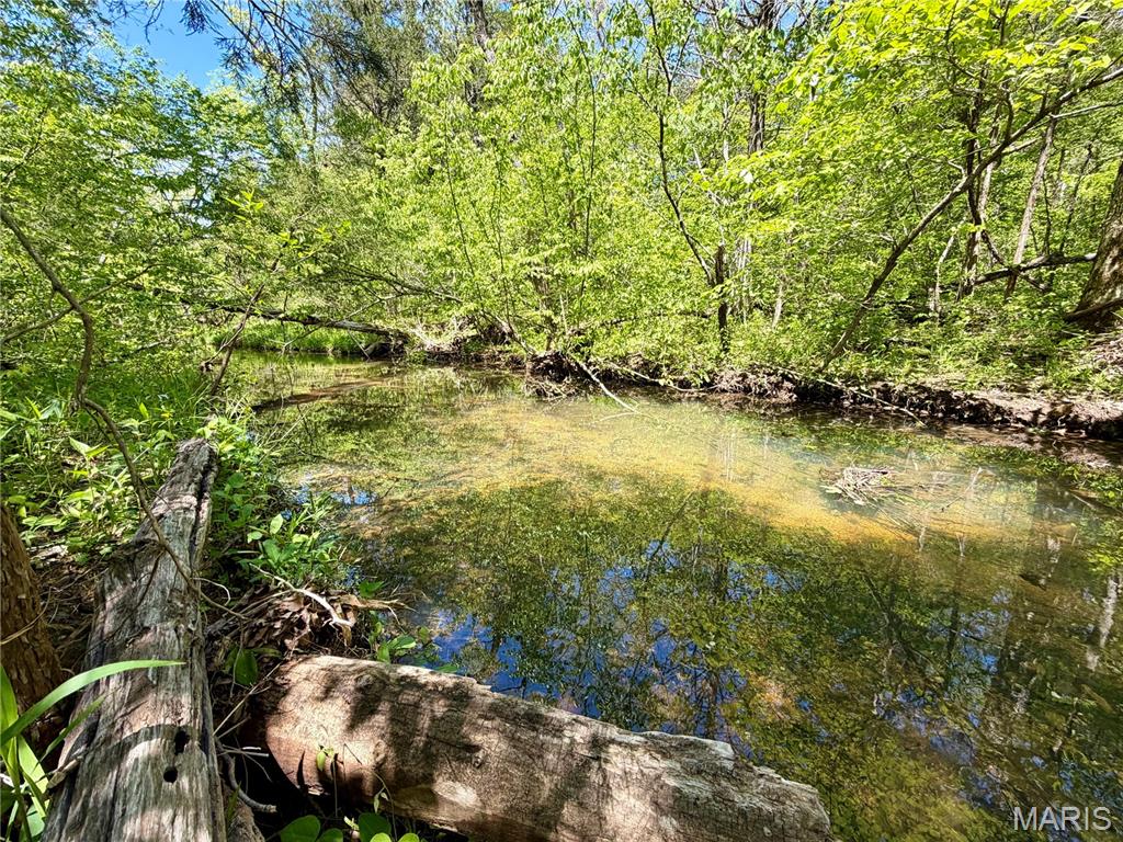 Photo of 6 Furnace Creek Road Potosi MO 63664