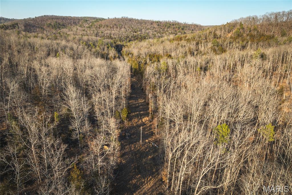 Photo of 000 County Road 19-208 Tract 3 Eminence MO 65446