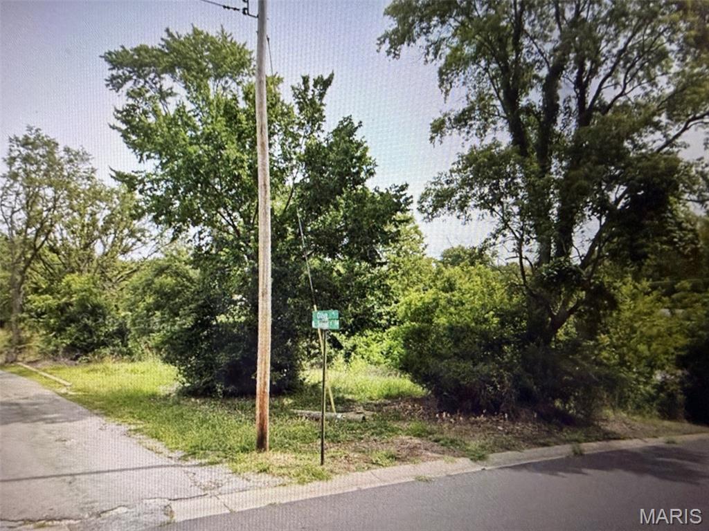 Photo of 1516 N Main Street De Soto MO 63020