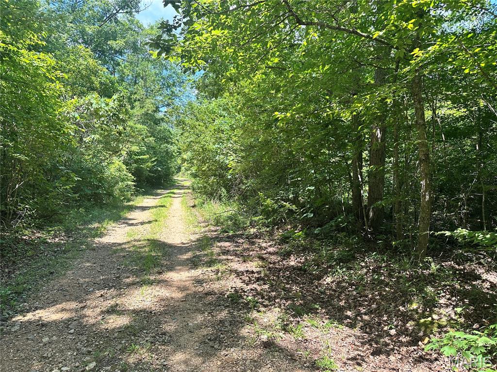 Photo of TBD Kaw Court Annapolis MO 63620