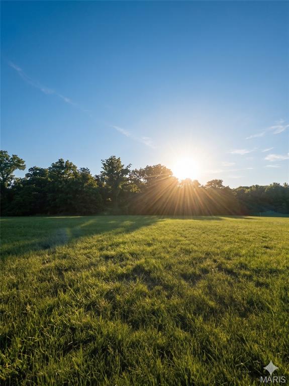 Photo of [LOT 50] 557 Willow Bend Lane O'Fallon IL 62269