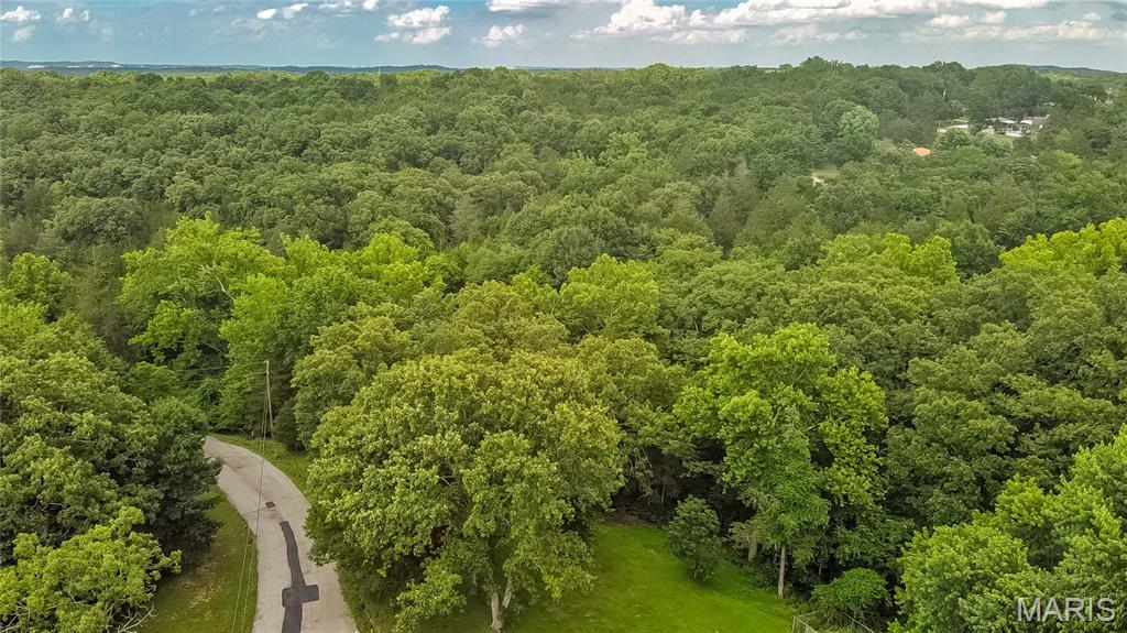 Photo of 0 Watson Road Festus MO 63028