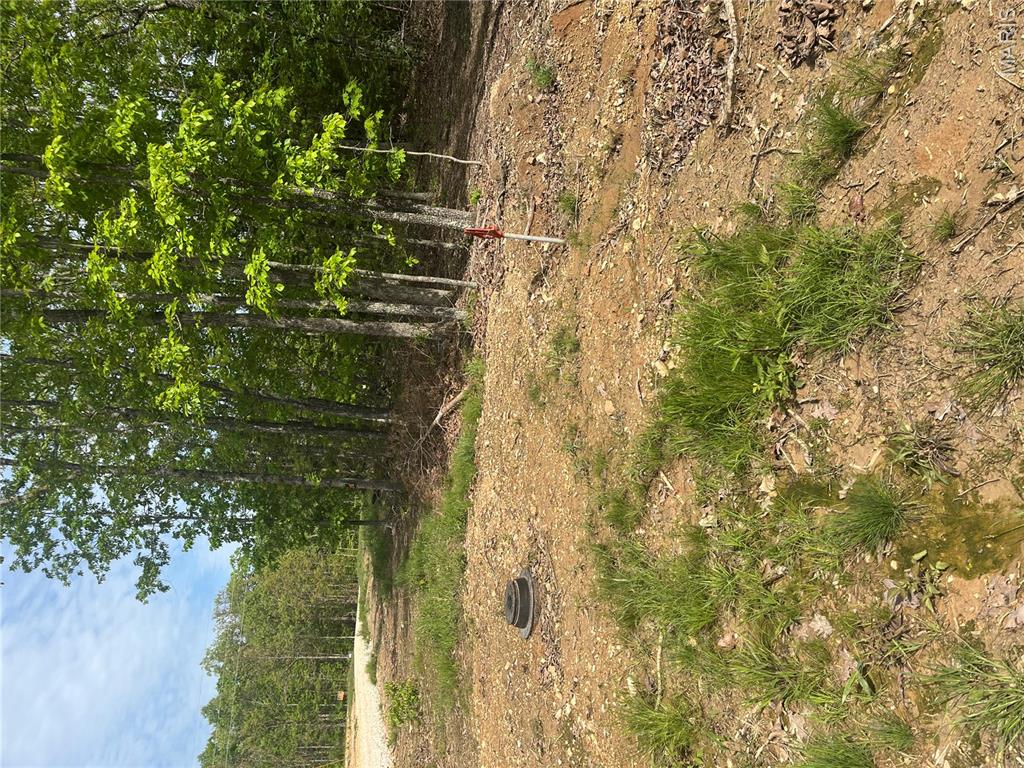 Photo of 7 CR 4180 Salem MO 65560