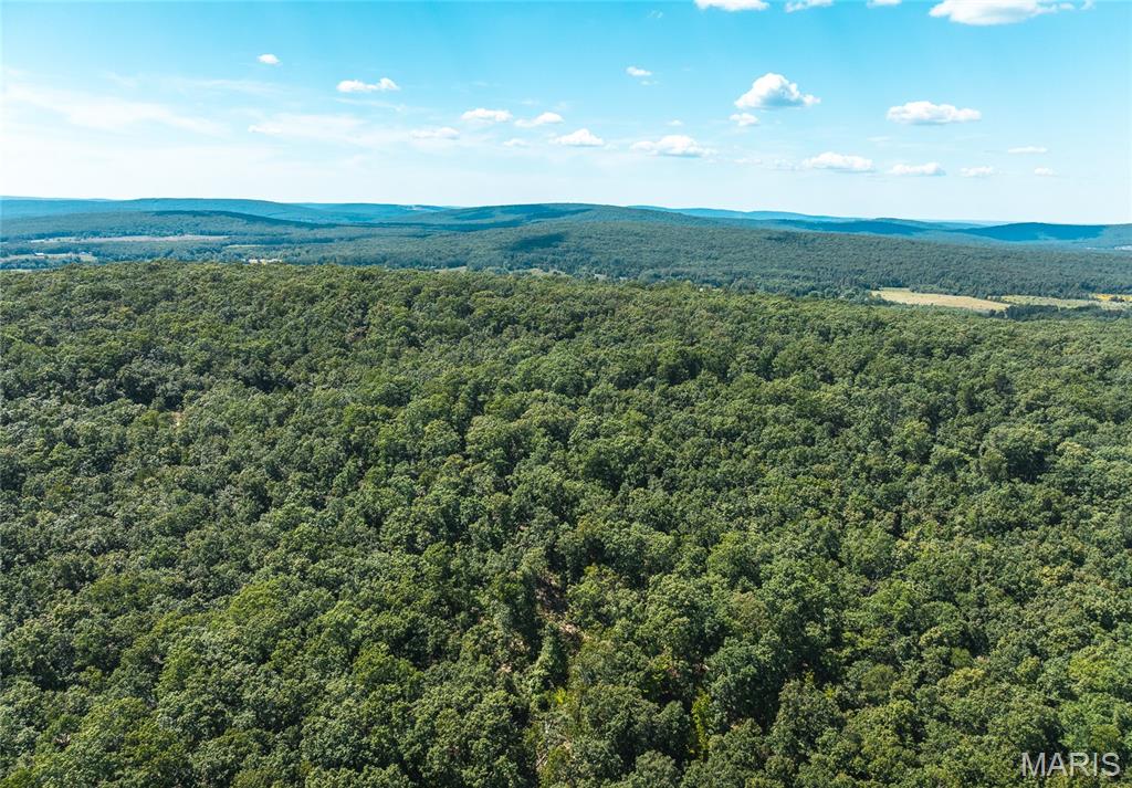 Photo of 3 Buck Mountain Road Doe Run MO 63667