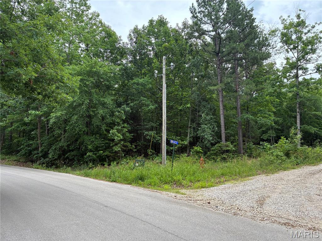 Photo of 0 Bruce Poplar Bluff MO 63901