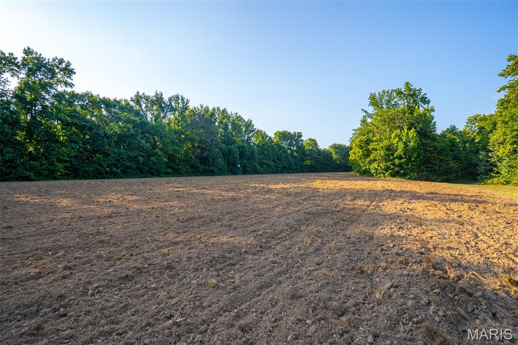 Photo of 000 County Road 530 Williamsville MO 63967