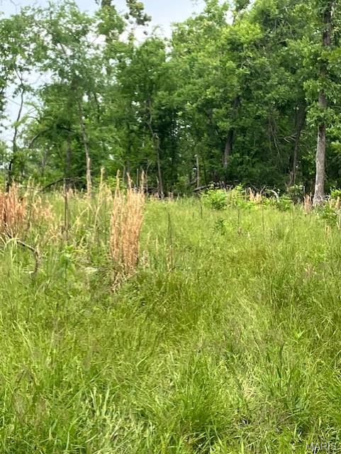 Photo of 247 Madison CR 410 Fredericktown MO 63645