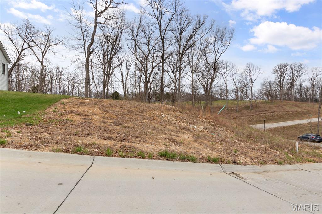 Photo of 126 Summer Grace Lane St Charles MO 63304