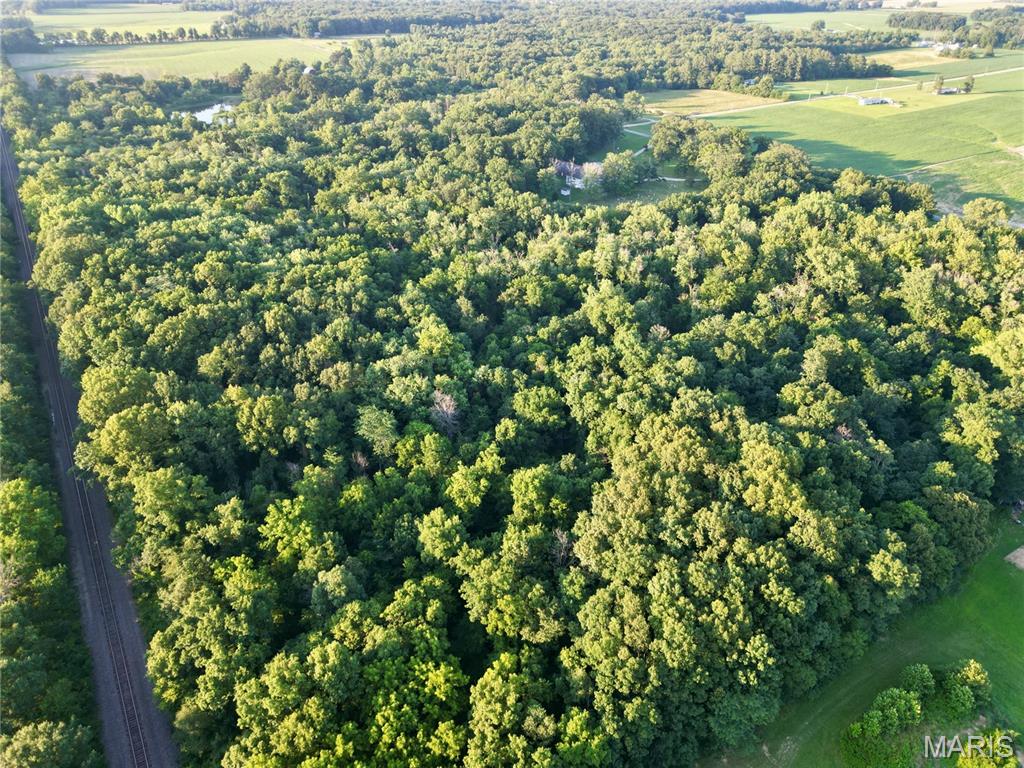 Photo of 00 County Farm Road Kell IL 62853