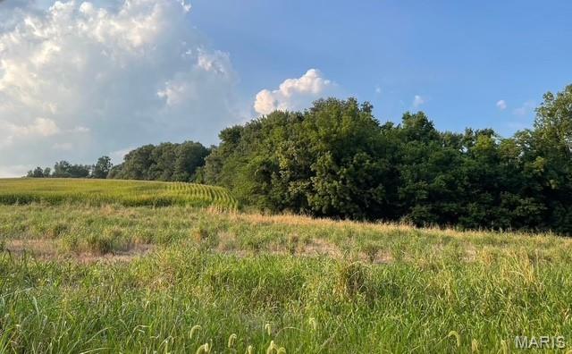 Photo of 1810 County Road 228 Cape Girardeau MO 63701