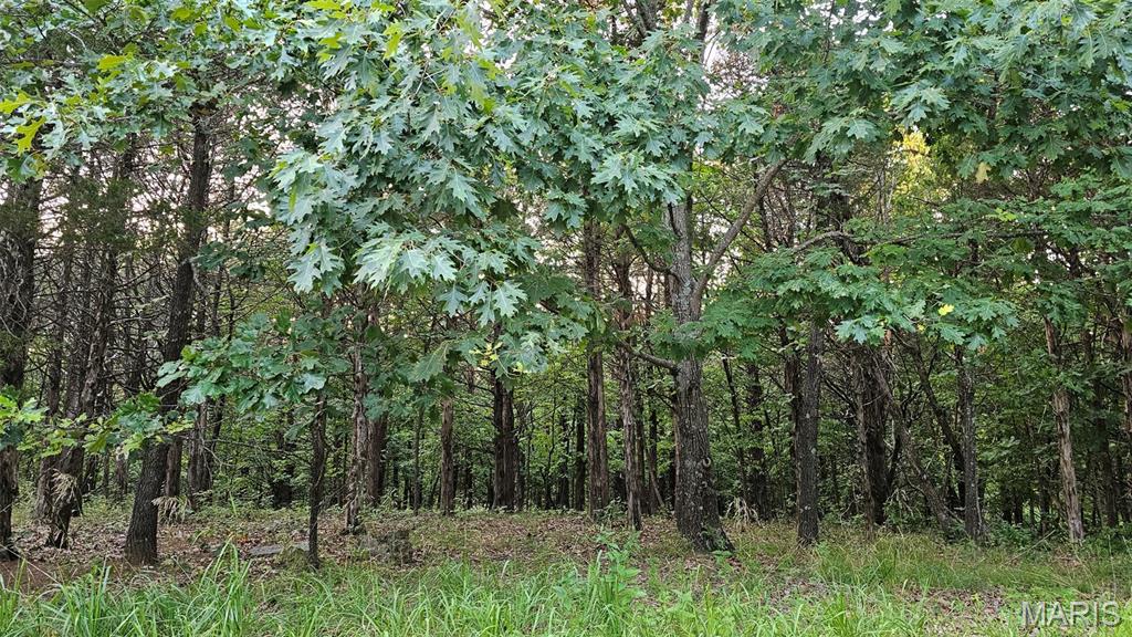 Photo of 2000 Heather Drive Lake Sherwood MO 63357
