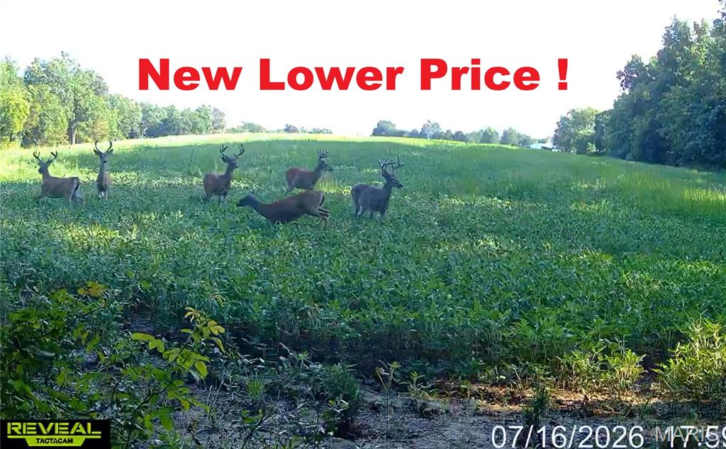 Photo of 920 S Poplar Camp Road Makanda IL 62958