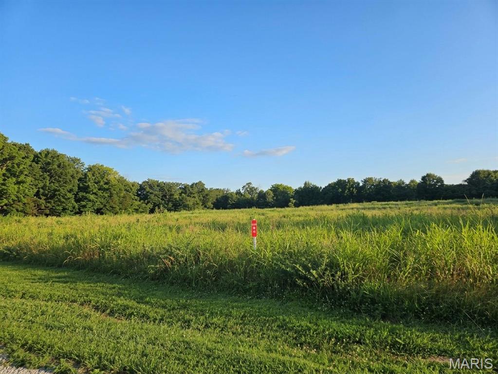 Photo of 5.3 +/- Wapiti Trail New Haven MO 63068