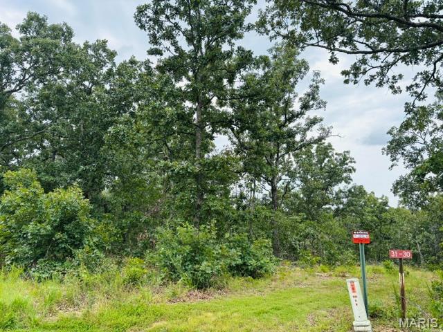 Photo of lot 31 W Hickory Ridge Road Steelville MO 65565