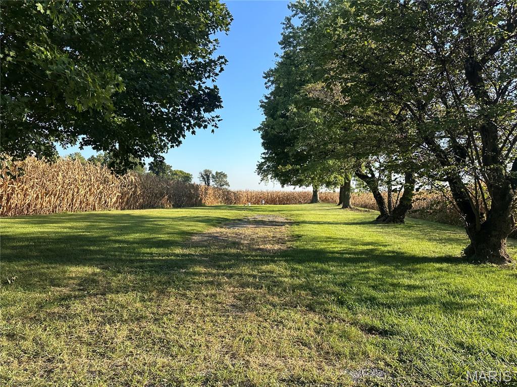 Photo of 110 Lake Road Benton MO 63736