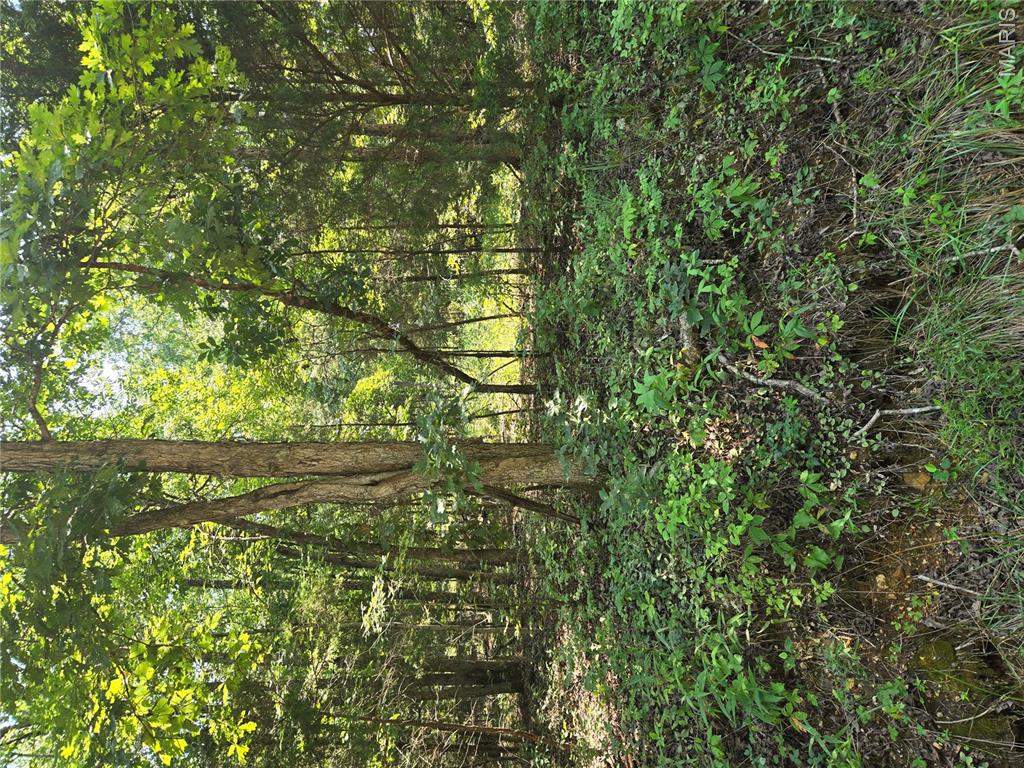 Photo of 0001 County Road 421 Birch Tree MO 65438