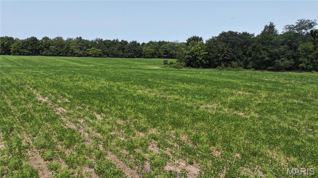 Photo of 171 Highway Jj New Florence MO 63363