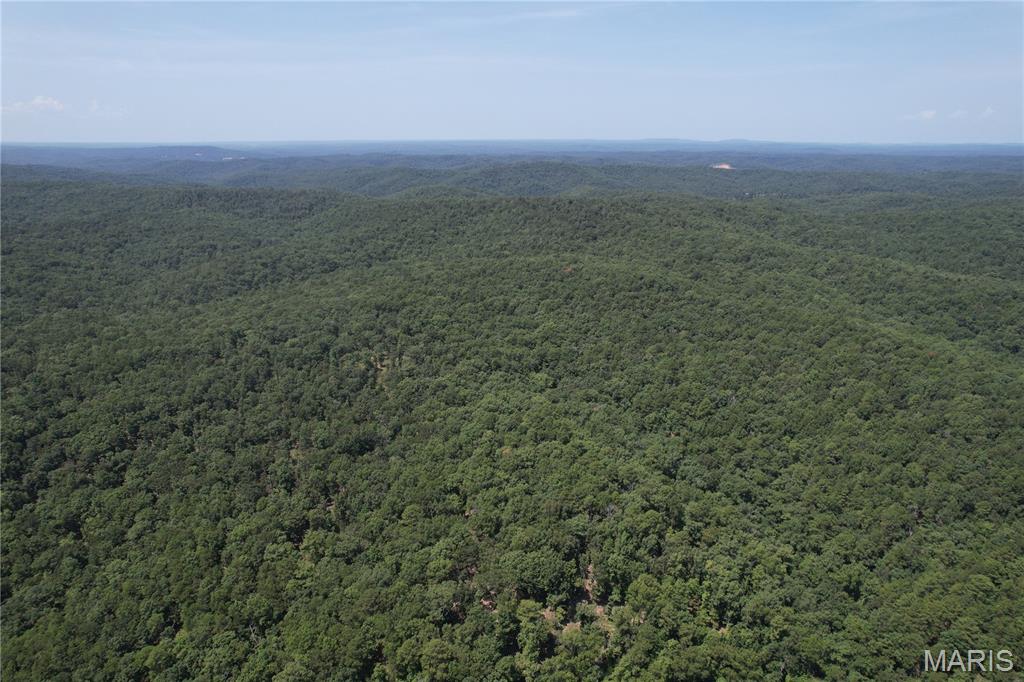 Photo of 0 CR 205a Van Buren MO 63965