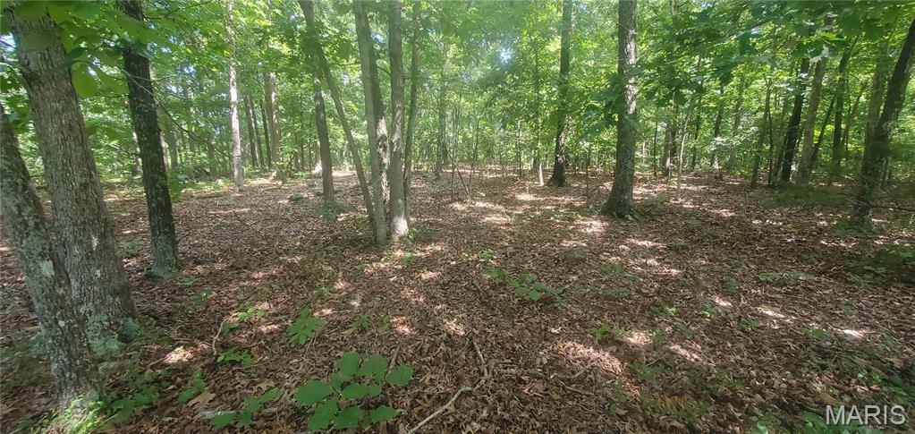 Photo of No Address Listed Elk Creek MO 65464