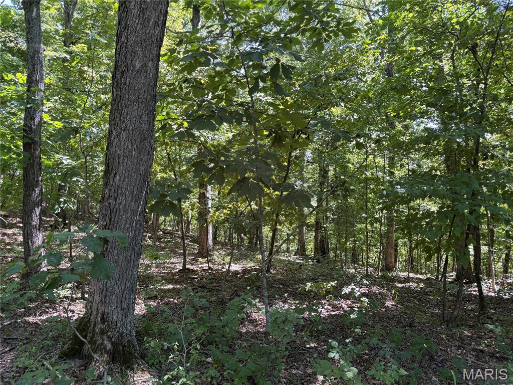 Photo of 5.49 Acres T Warren Warrenton MO 63383