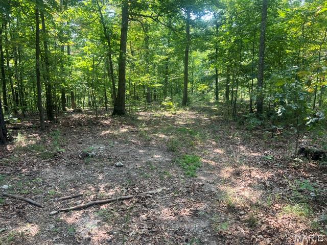 Photo of 0 County Road 341 Piedmont MO 63957