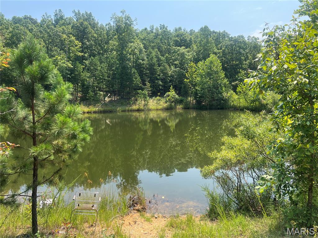 Photo of 0000 County Road 341 Piedmont MO 63957