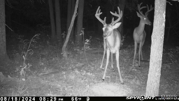 Photo of 160 Highway N Stover MO 65078