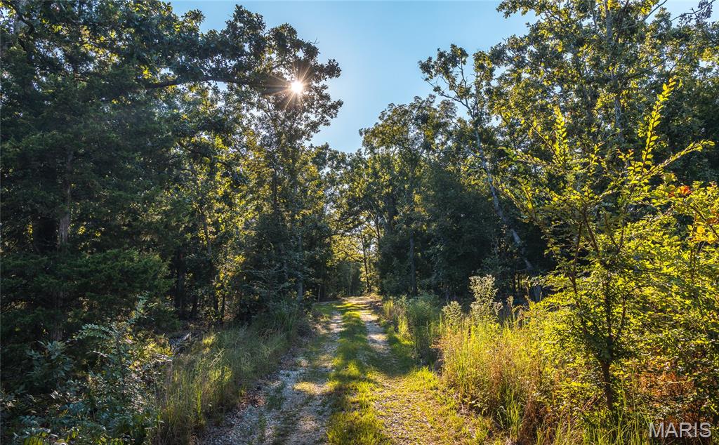 Photo of 16505 State Route K Edgar Springs MO 65462