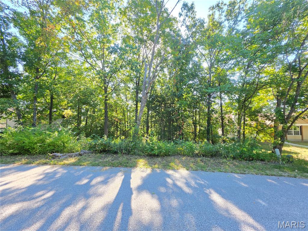Photo of 9744 Lee Drive Hillsboro MO 63050