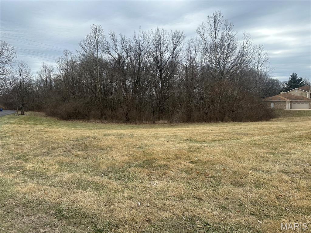 Photo of 1548 Fountainhead Lane St Louis MO 63138