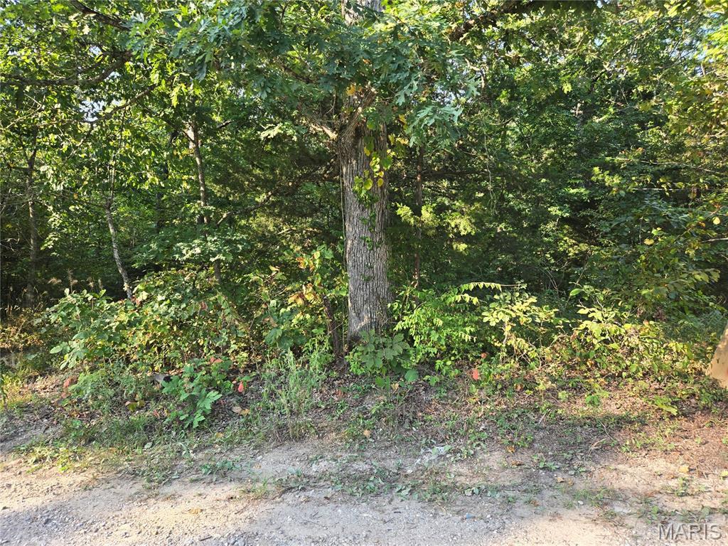 Photo of 0 Tranquil Oaks Wright City MO 63390