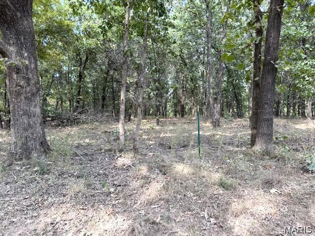 Photo of 13025 Industry Road Lebanon MO 65536