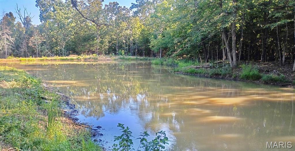 Photo of Lot 11 County Road 4180 Salem MO 65560