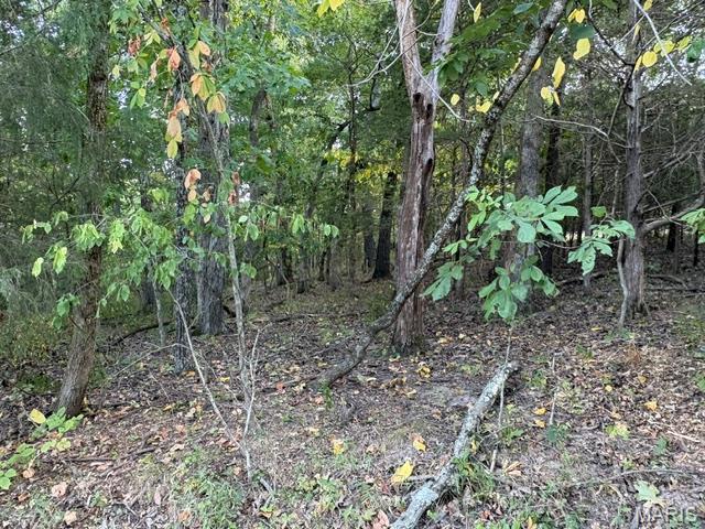 Photo of 5205 Tree Crest Drive Hillsboro MO 63050