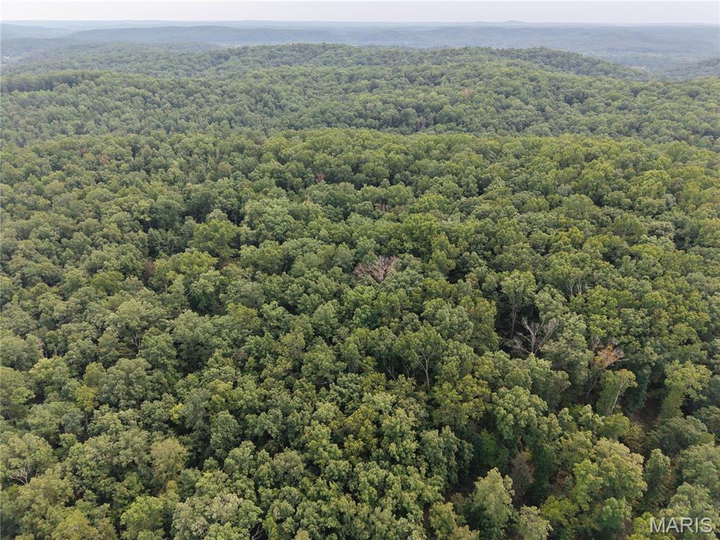 Photo of Section 32 Township 29 Range 3 Piedmont MO 63957