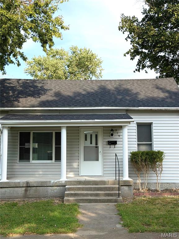 Photo of 319 S Hamilton Street Marissa IL 62257