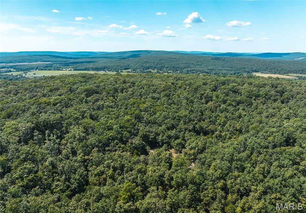 Photo of 5 Buck Mountain Road Doe Run MO 63637