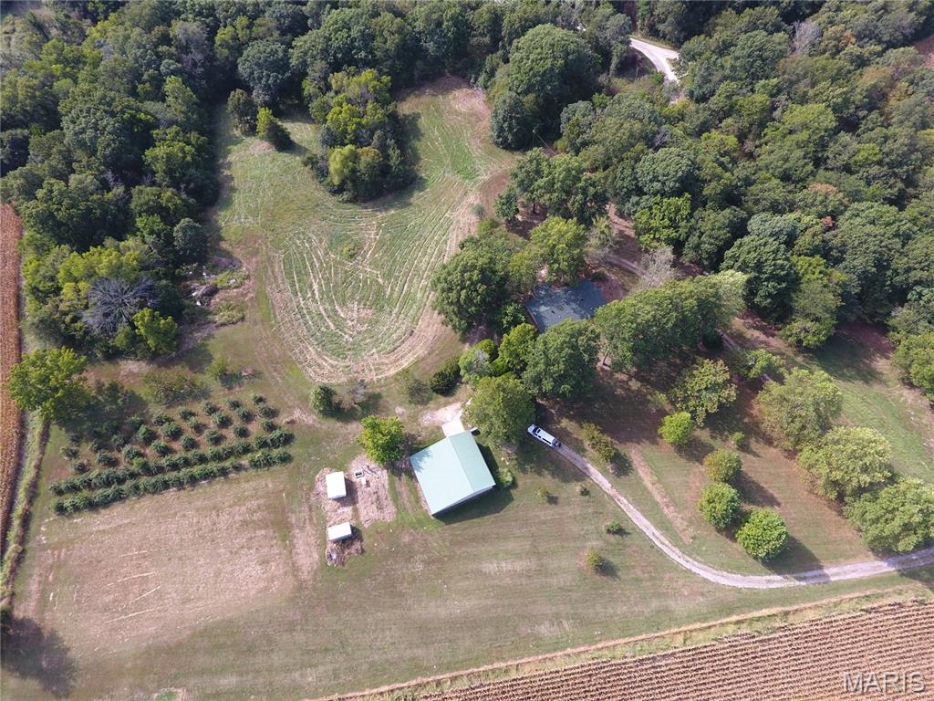 Photo of 21512 Richey Hollow Road Jerseyville IL 62052