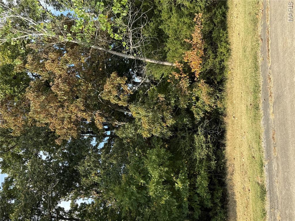 Photo of 35 Brownwood Court Poplar Bluff MO 63901